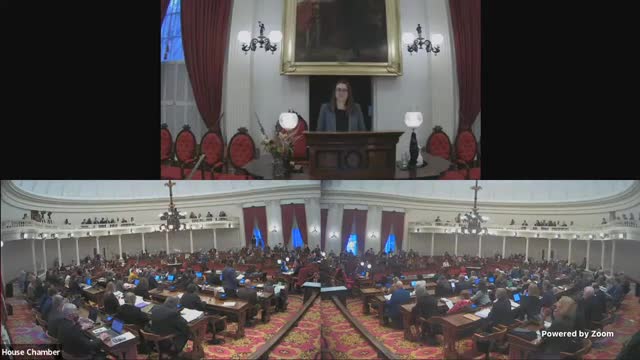 Vermont lawmakers propose amendment to establish overdose prevention centers amid rising opioid deaths