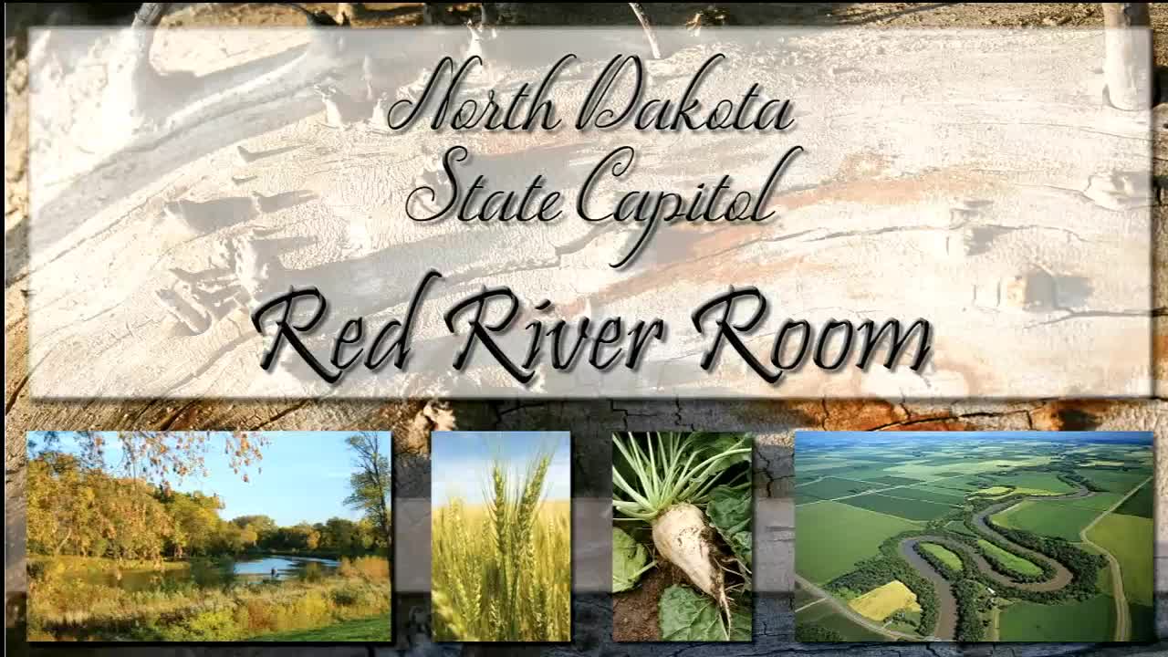 Senate Appropriations — Government Operations Division organizes, sets hearing schedule and discusses electronic voting