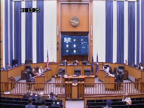 Richmond City Council approves remote participation for Council member Nicole Jones; several docket items continued