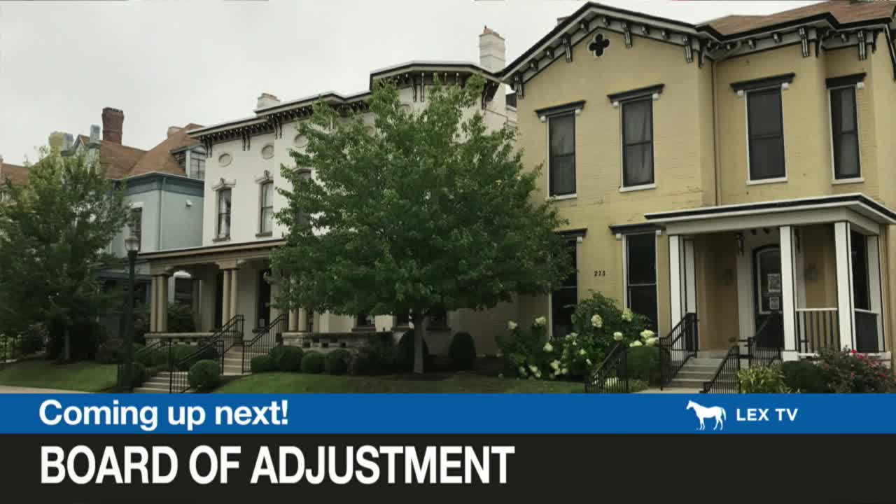 Lexington Board of Adjustments approves several variances and short‑term rental permits, denies others in long docket