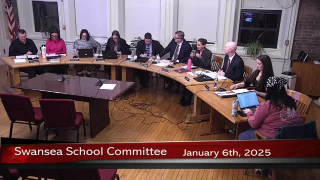 Swansea committee accepts donation, appoints designer substitute and advances safety and building work