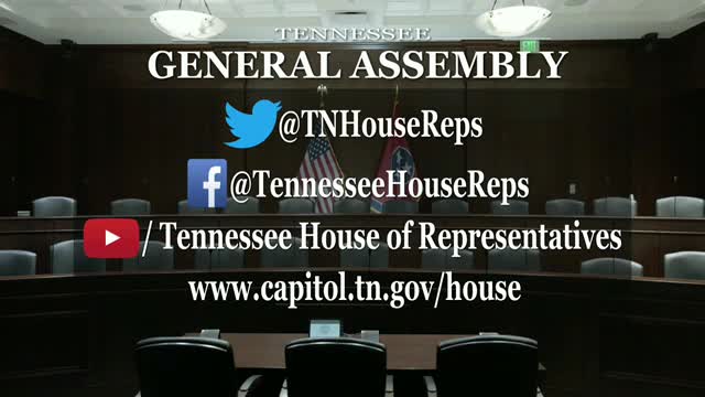 Ad Hoc Committee adopts 113th General Assembly rules for use on first day of 114th