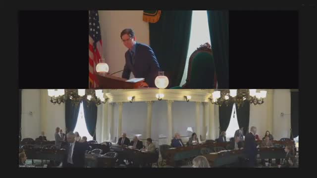 Reverend Diane Nanscovell inspires Vermont Senate with message of love and dialogue