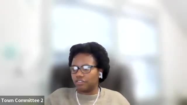 Nantucket Cultural Council elects officers, removes planned executive session from agenda