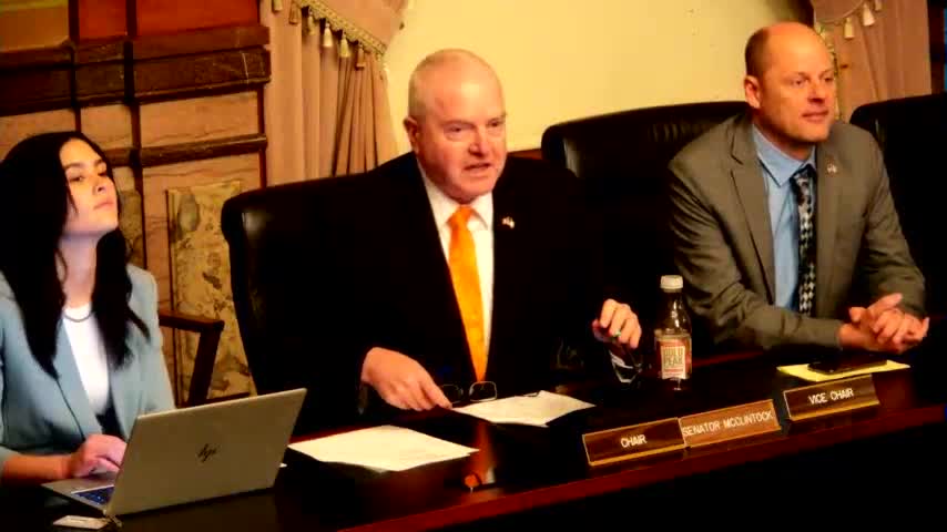 Senate Technology Committee adopts Rule 39, approves March 27 minutes; chair outlines proactive tech agenda