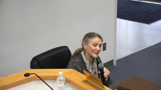 Lago Vista economic development advisory committee elects officers; launches community identity outreach