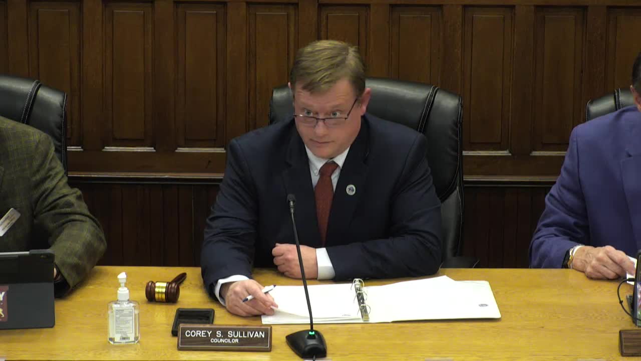 At a glance: council approves procurement, finance housekeeping and clears potential bidder disclosure