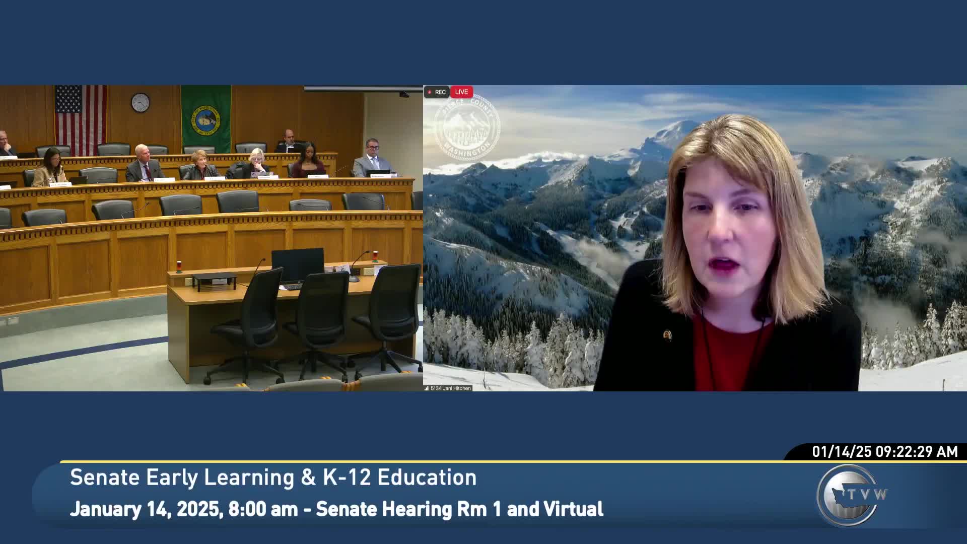 Department of Revenue says it could administer a wealth tax but flags valuation, compliance and staffing challenges