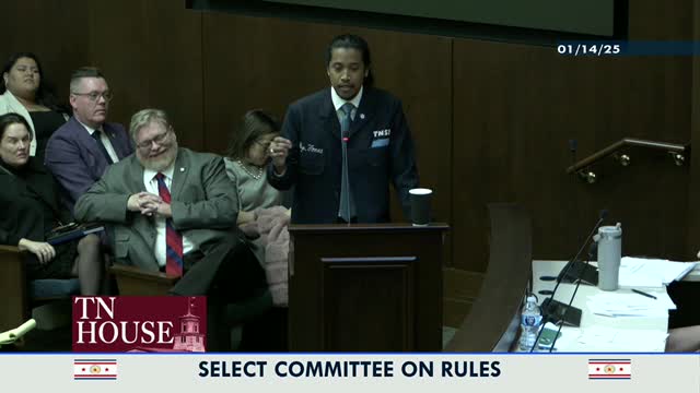 Tennessee lawmakers clash over firearms policy in committee room debate