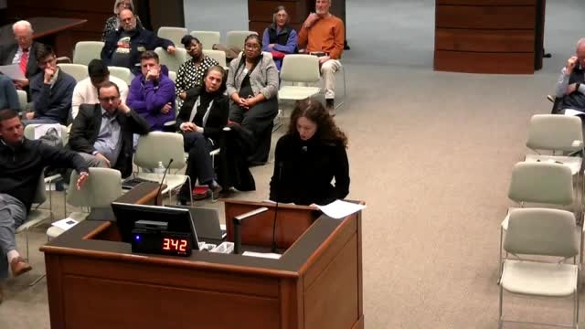 City Council debates $15M subsidy for luxury housing amid calls for workforce housing