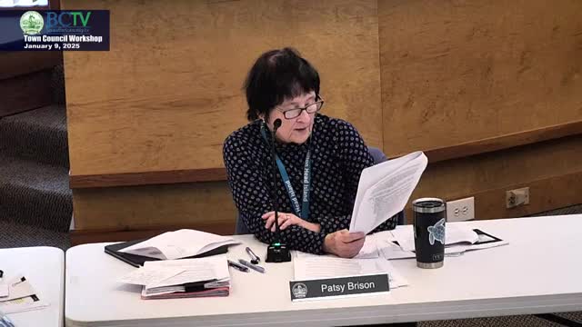 Town Council reviews $257 million eastbound bridge design amid funding and environmental concerns