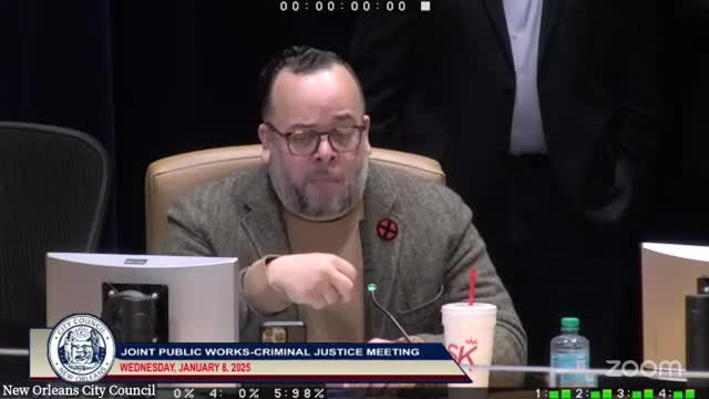 New Orleans council debates public safety measures ahead of Mardi Gras amid rising violence concerns