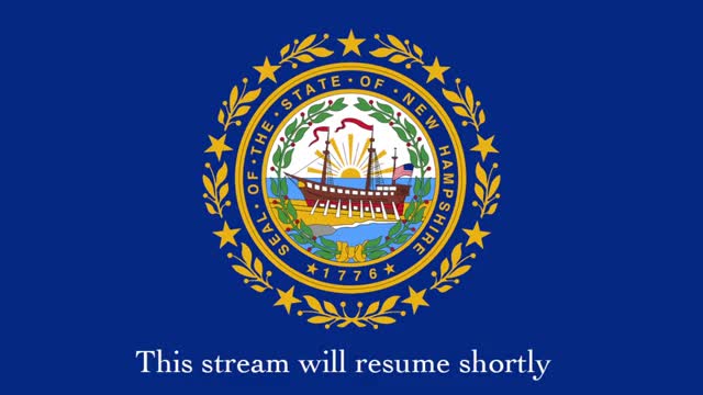 Goffstown lawmaker introduces bill to let voters choose appointed school treasurer