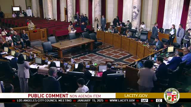 LA residents demand urgent action from city council on homelessness and public safety issues
