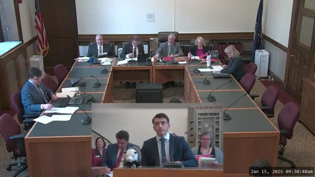 Committee backs bill naming Virginia opossum New Hampshire state marsupial; students testify in support