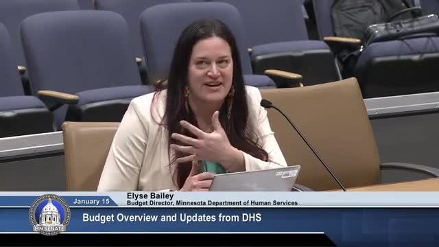 Senators press DHS on 245D licensing backlog, nursing‑home capacity and program integrity during budget briefing