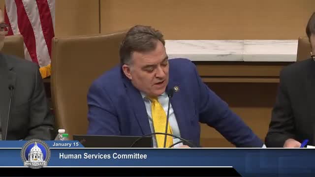 Senate human services panel warned Medicaid, long‑term care spending will rise as DHS previews $23.6B general fund footprint