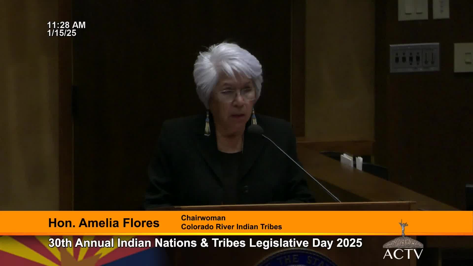 Tribal leaders urge sustained education funding, ICWA implementation and culturally competent substance‑use treatment