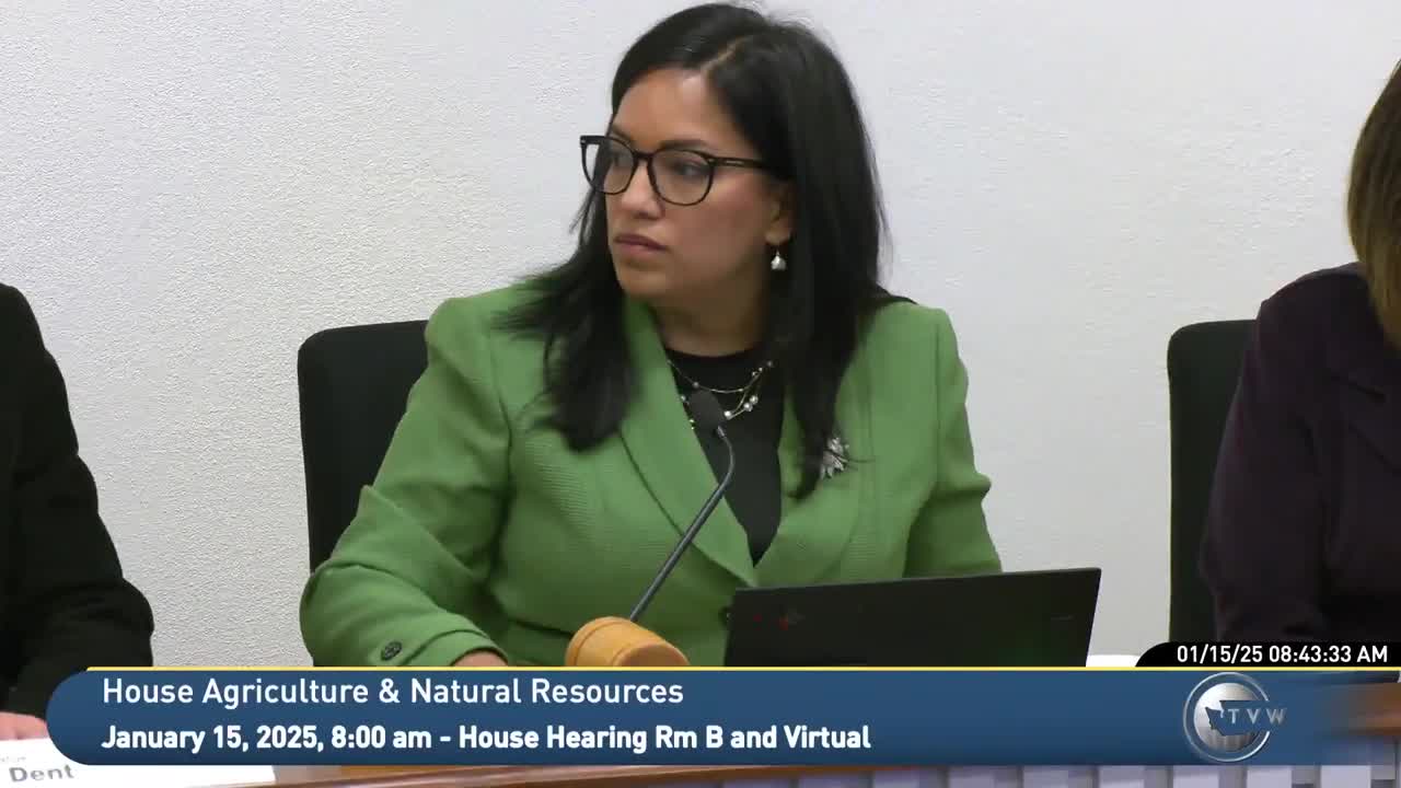 Committee members preview bills: wolf status, hunting license modernization, stumpage reporting and prescribed‑burn pilot