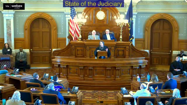 Presenter urges expansion of e-filing, court help centers and child-welfare supports