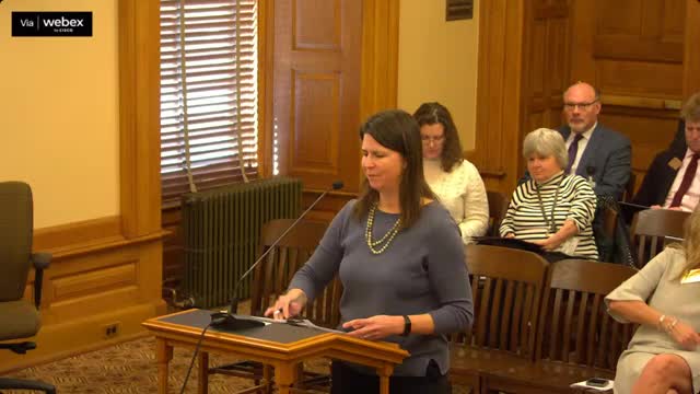 Bethel interim report urges GME program, CHIP eligibility update and local grants