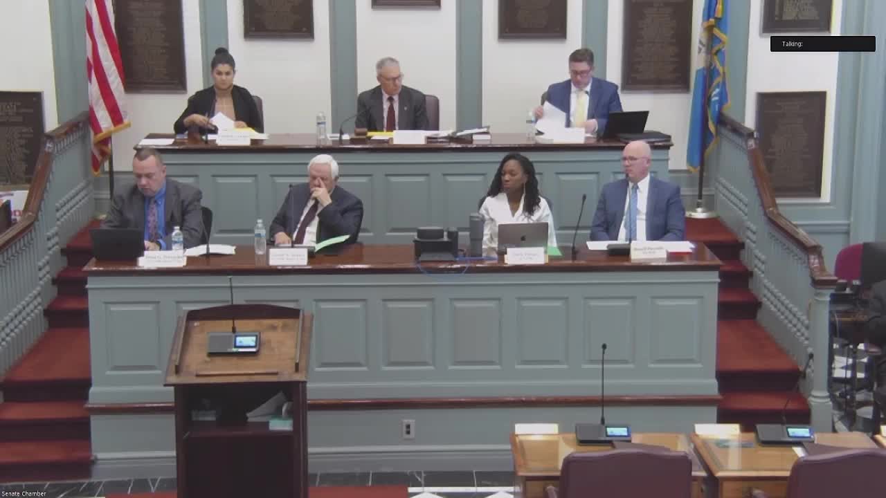 Senate panel hears constitutional amendment to replace cash bail with risk-based pretrial detention