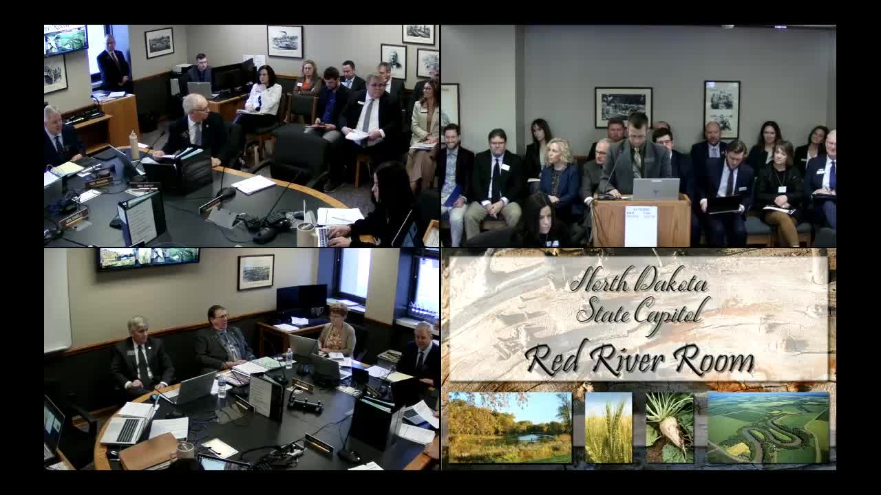 Senate panel gives due‑pass recommendation to resolution authorizing legislative hearings on federal block grants