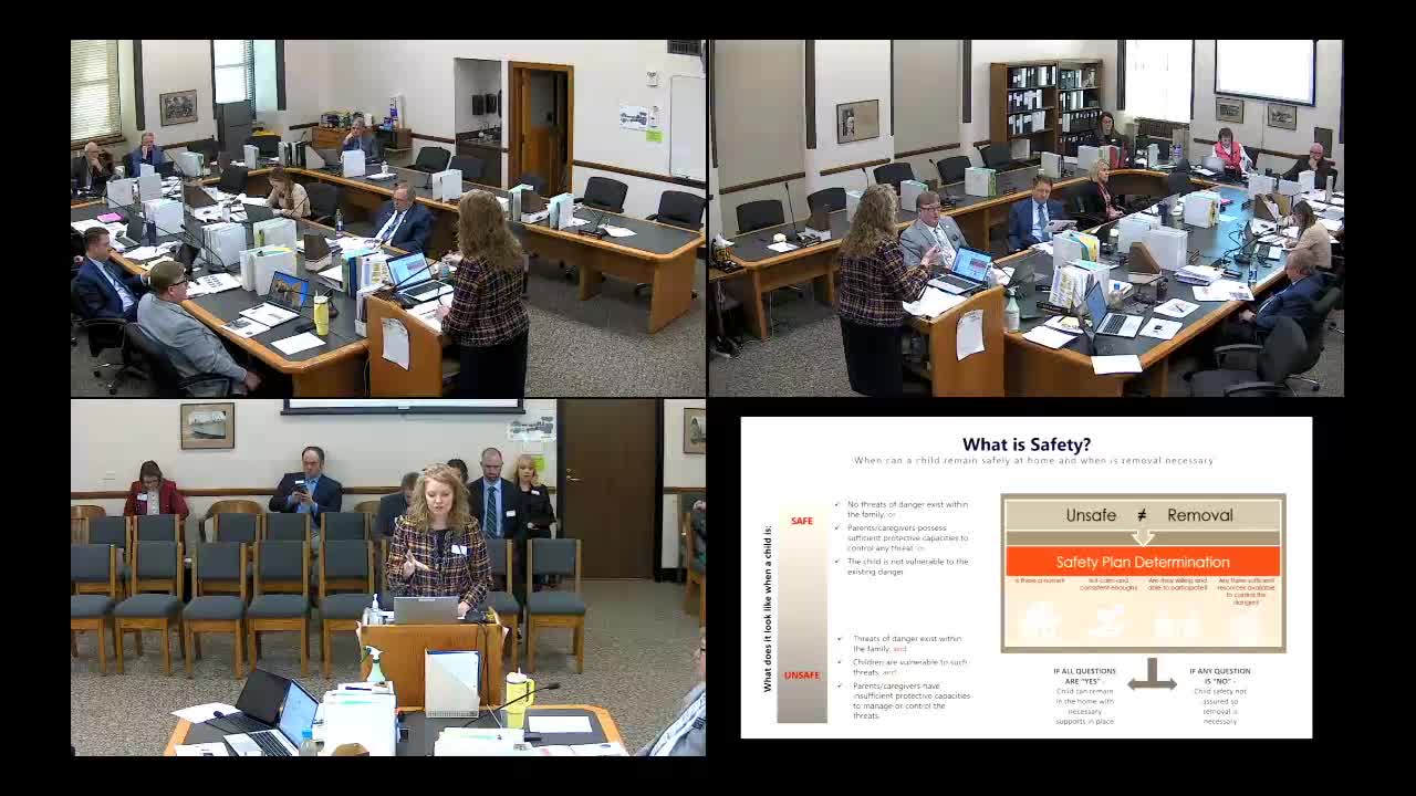 State committee reviews child welfare trends amid rising parental abandonment concerns