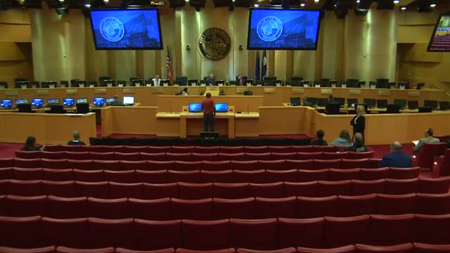 Las Vegas council considers $1000 fine for animal abandonment and stricter pet store regulations