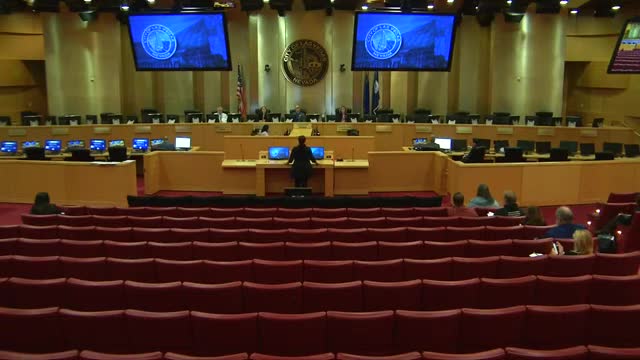 Nevada Council debates stronger animal abandonment laws amid rising cases of neglect