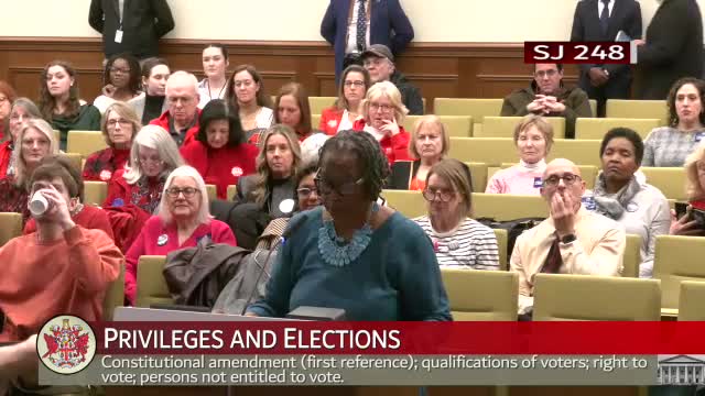 Virginia Senate considers historic amendment to restore voting rights for felons