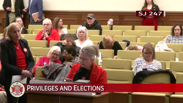 Virginia residents rally against SJ247 citing extreme abortion amendment concerns