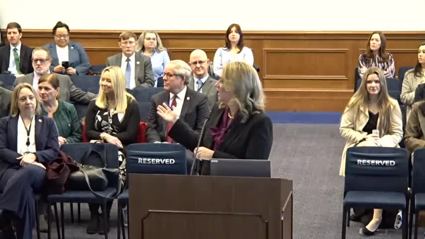 Virginia leaders unveil ambitious plan to tackle maternal and behavioral health crises