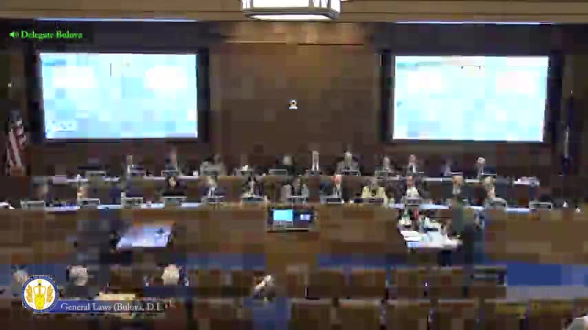 Consultants tell House General Laws committee Virginia should create independent Gaming Commission