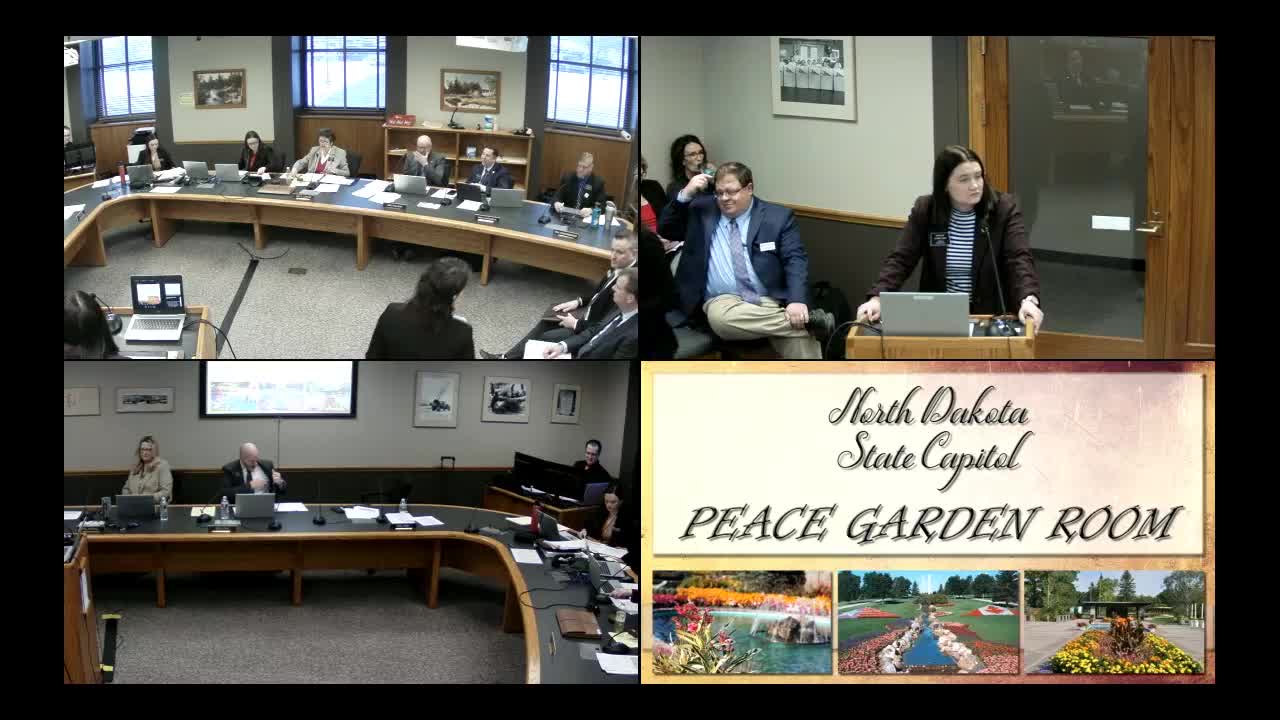 Committee advances juvenile competency bill, adopts remediation framework and delays effective date