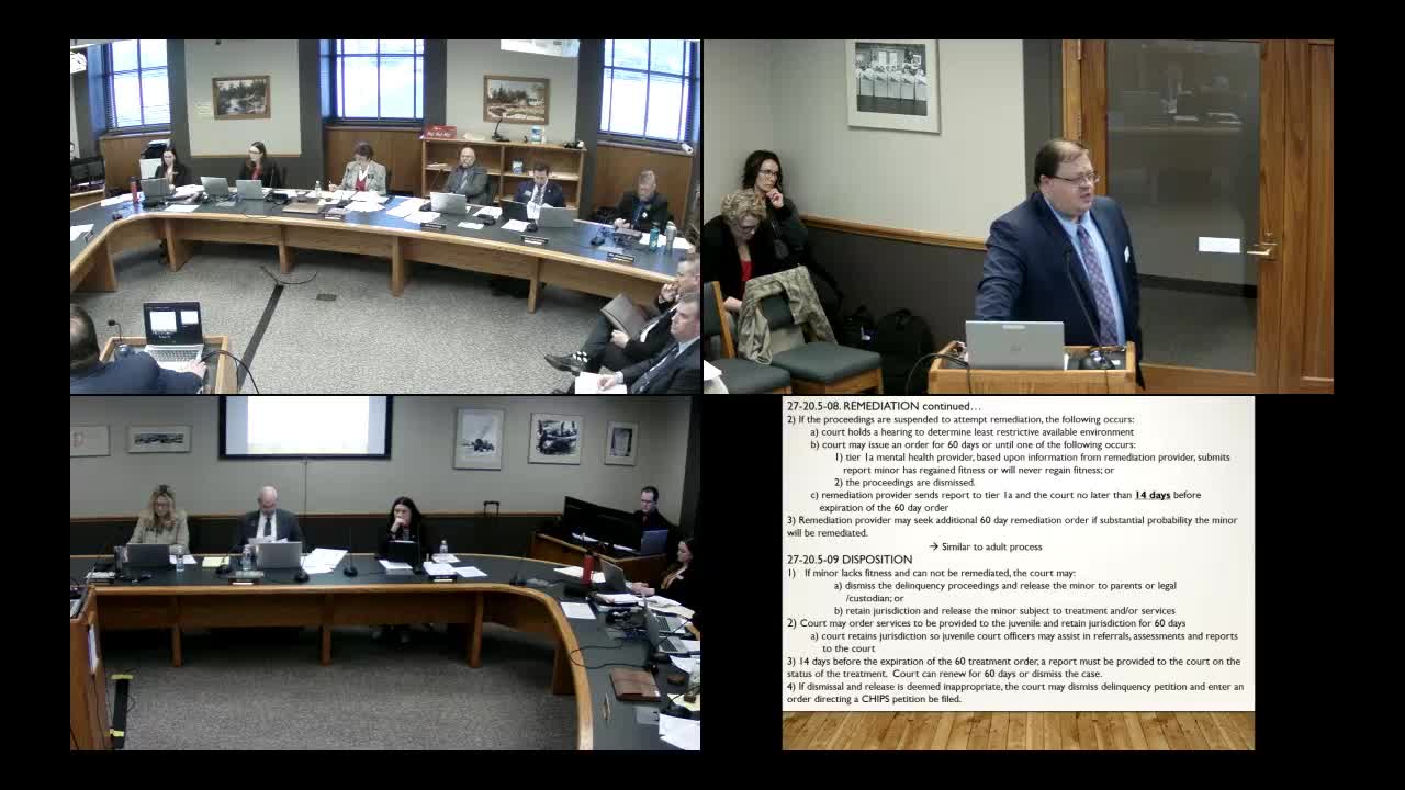 Panel approves changes to juvenile collateral consequences, including permissive sex-offender registration and school-policy flexibility