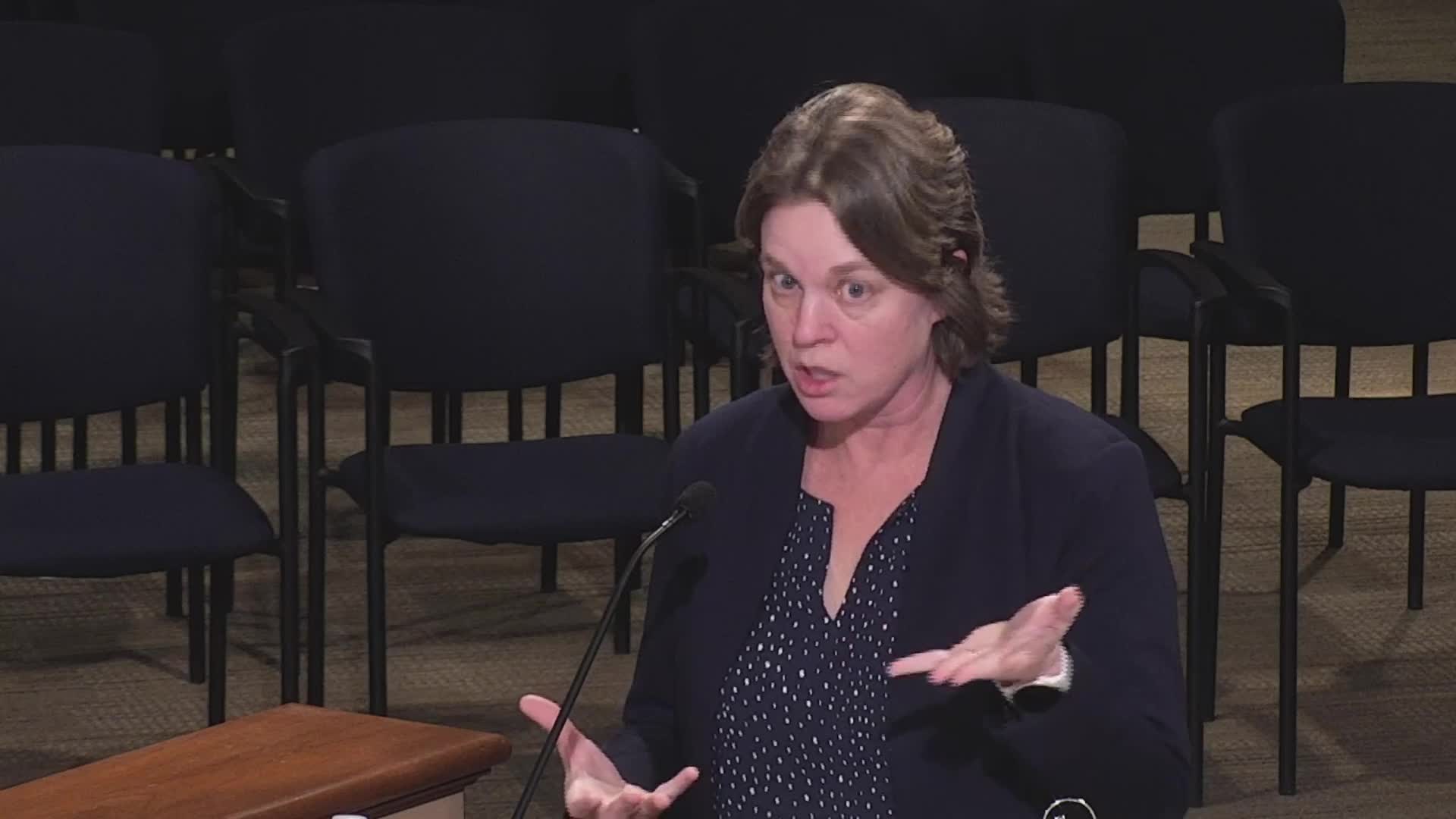 City planning commission faces backlash over new hotel rental regulations