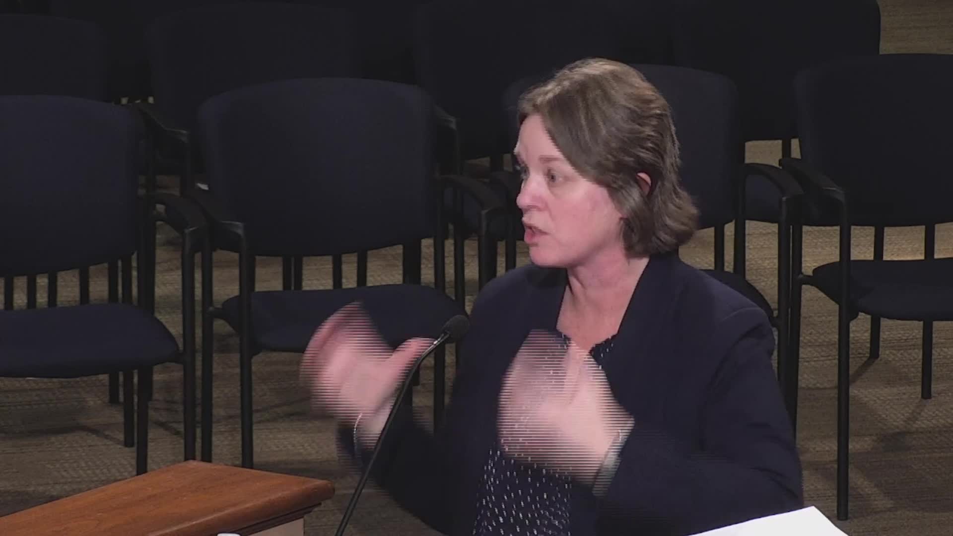 York County officials debate hotel rental restrictions amid local concerns over access and safety