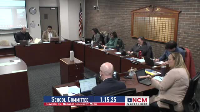Norwood superintendent outlines entry findings and options to reorganize special education, curriculum and safety roles