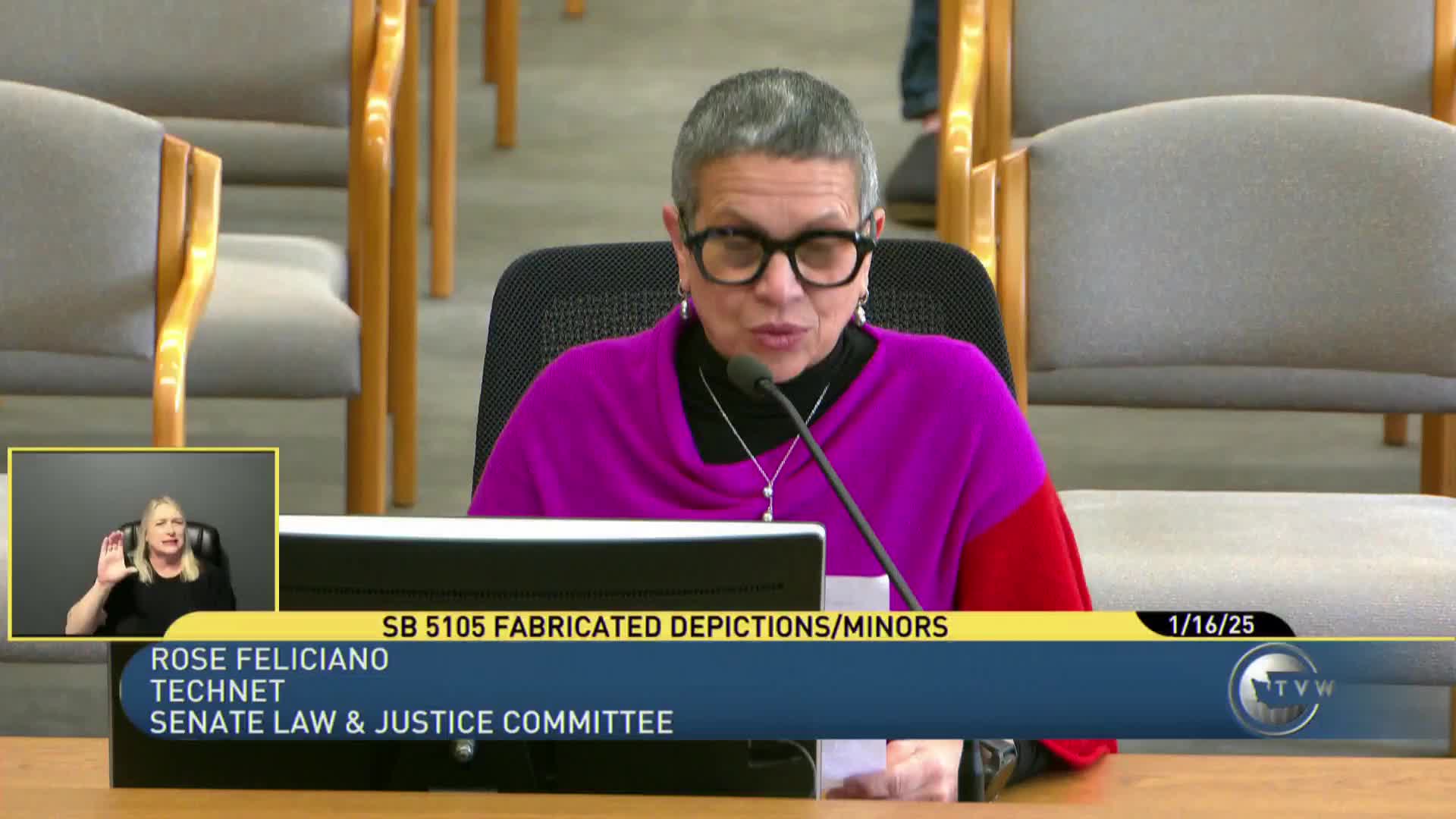 Prosecutors seek longer statute of limitations and expanded exploitation offense; defenders urge constitutional caution and treatment alternatives