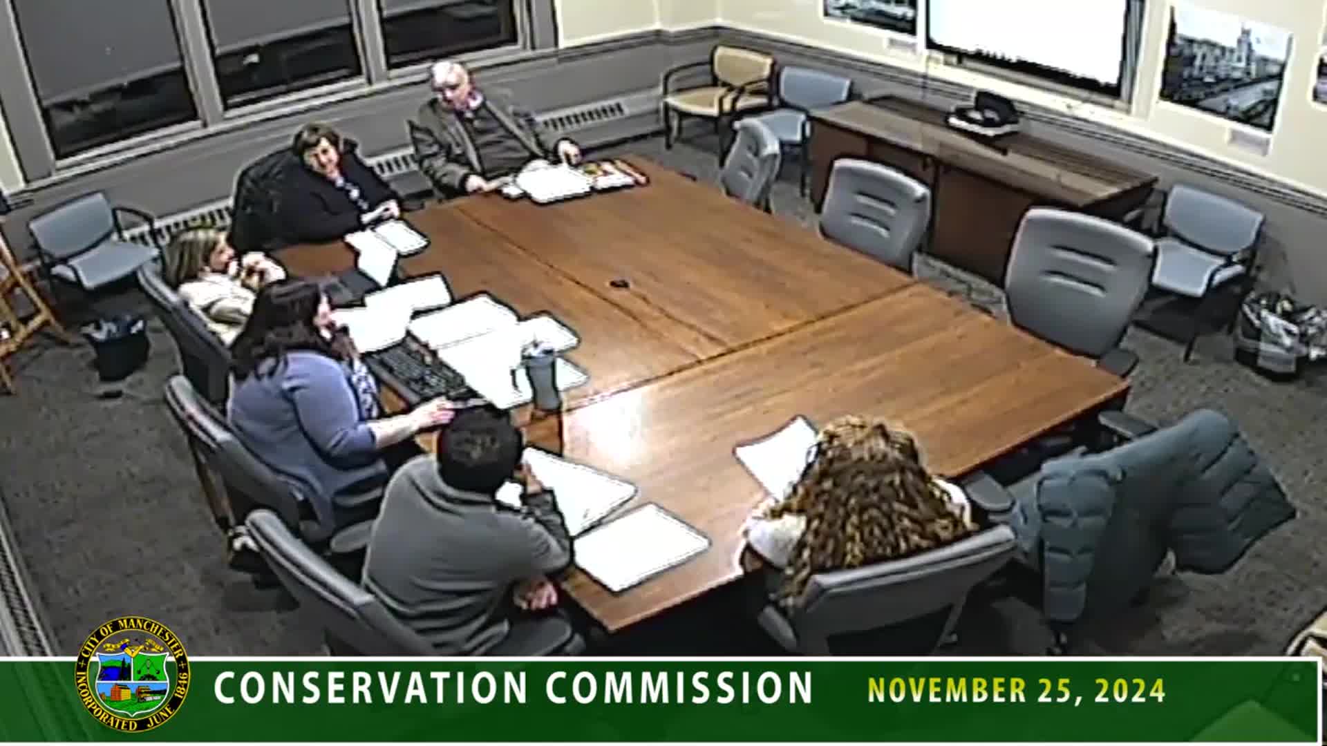 City plans three-year park renovation including new skate park and wetland preservation
