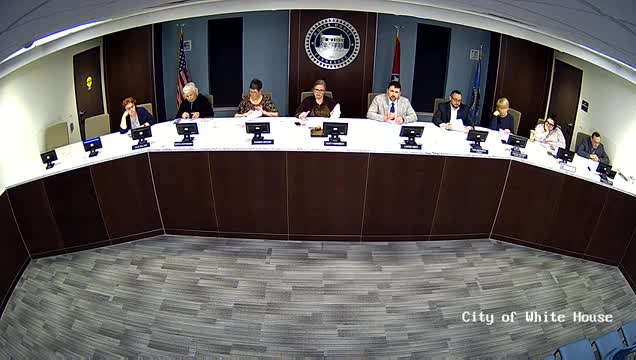 Veterinarian saves pet after critical intestinal emergency and offers recovery advice