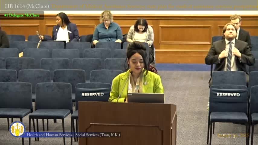 Subcommittee approves expansion of Medicaid postpartum doula coverage to 6 visits and 12 months