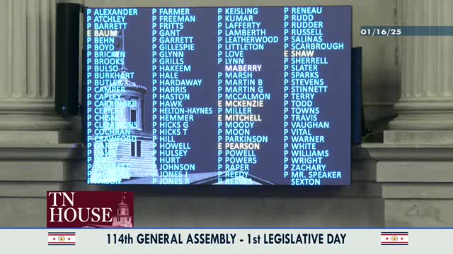 Tennessee lawmakers address accessibility concerns after senior citizen falls during session
