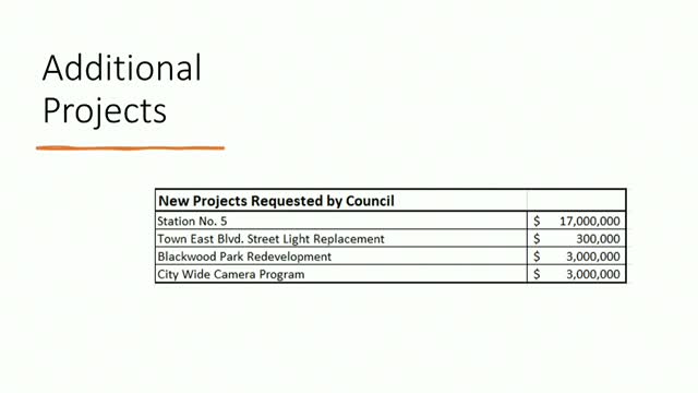 City Council debates $23M revitalization plan including Blackwood Park upgrades and citywide cameras
