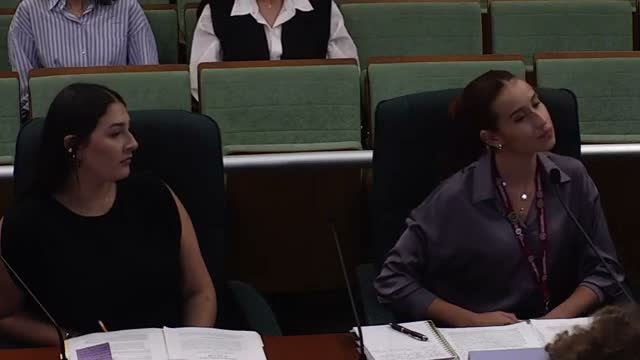 Committee hearing urges clearer language, legal aid and inclusive services in draft anti-violence measure