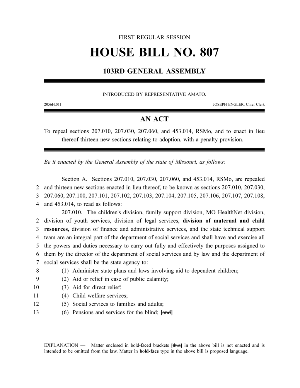 Missouri enacts strict policies for adoption services and employee conduct compliance