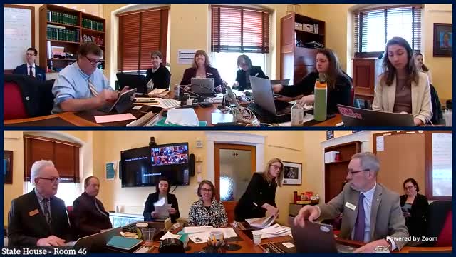 Agency of Human Services leaders brief House Human Services Committee on structure, Medicaid and local services