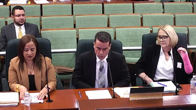 Puerto Rico's electoral commission implements new electronic voting system amid transparency concerns