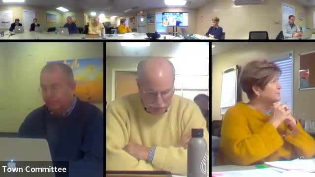 Sponsor seeks town funds for one‑year teen recreation, mentorship pilot at local athletic club